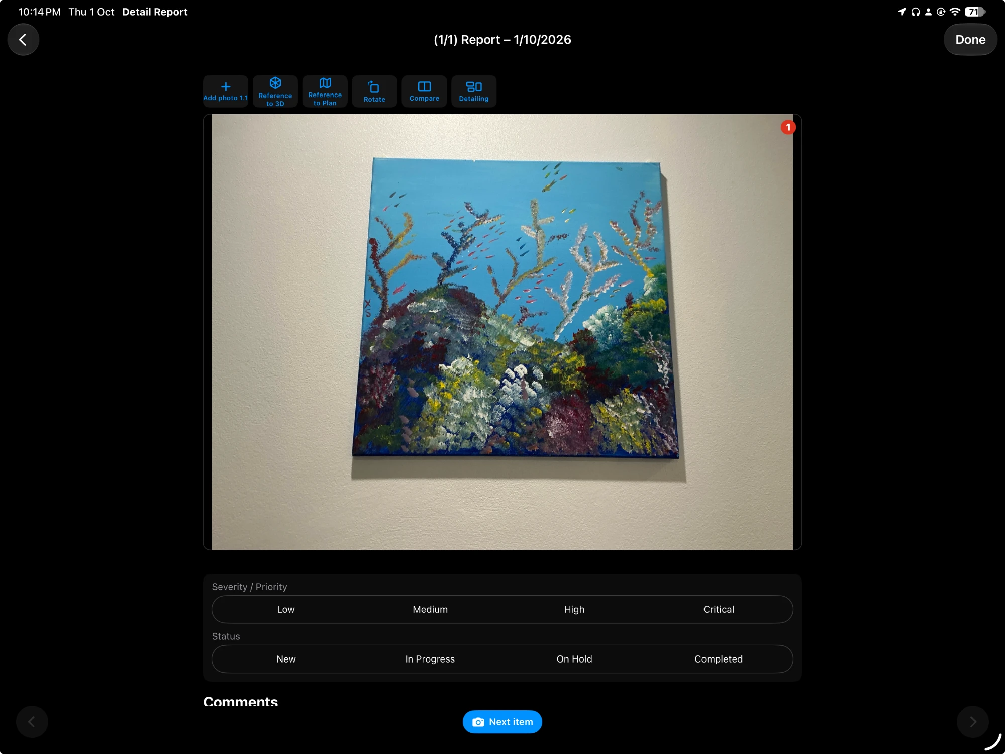 Detail Report on iPad. Each photo on its own numbered page, with 3D and plan references, compare and detailing.